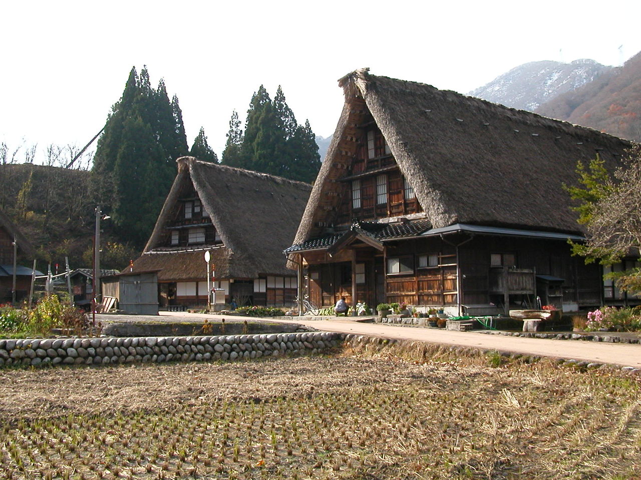 DSCN8313