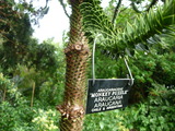 P1000371