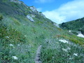 P1000536