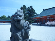P1030392