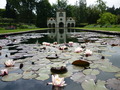 P1000668