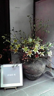 P1000438