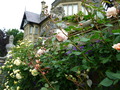 P1000666