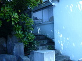 P1000454