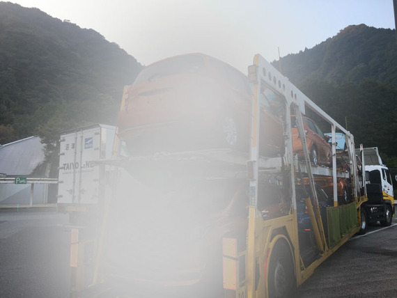 7e81d5a11-