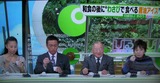 20120112 (11)2