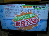 20120112 (5)
