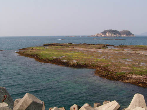 ipponmatsu1
