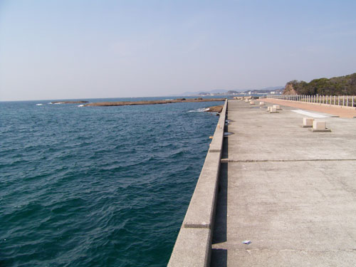 motoshima_07