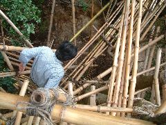楽知ん研究会in淡路島:ツリーハウス