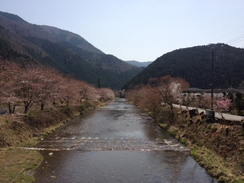 a61a69b7.jpg