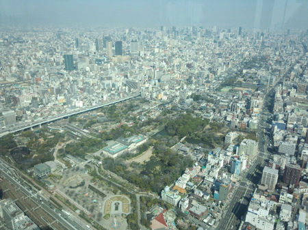 DSC_3487.jpg