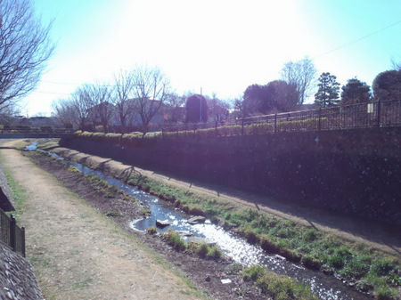 DSC_3001.jpg