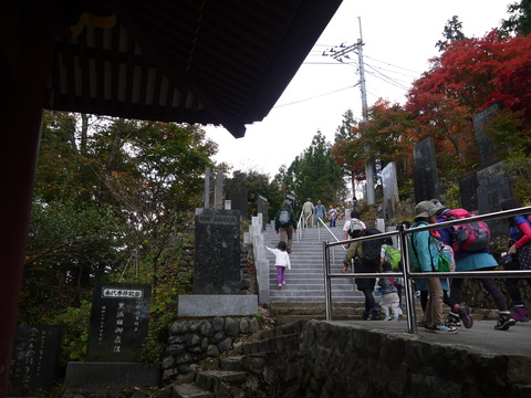 P1020020