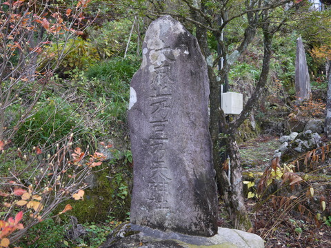 P1020018