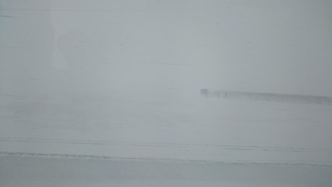 DSC_0513
