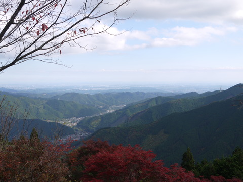 P1020004