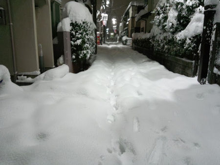 DSC_3209.jpg