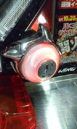 2fd22763.jpg