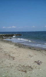 f4ccee56.jpg