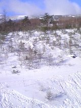 33546f67.jpg