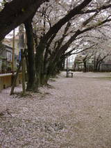 2328422e.jpg