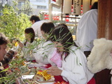2561457a.jpg