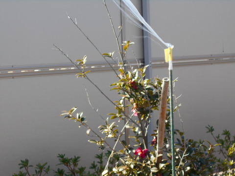 DSCN0230