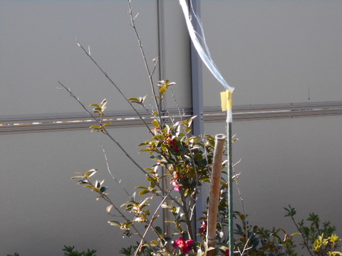 DSCN0228