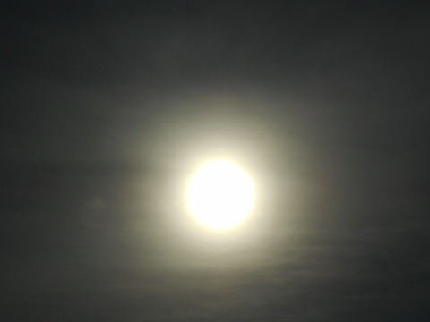 DSCN0184