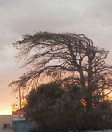 20190205065937
