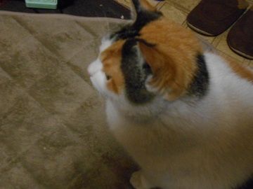2月20日(4)