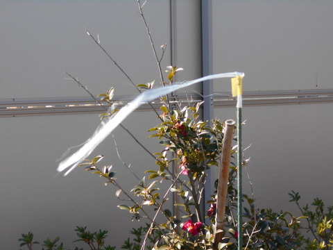 DSCN0229