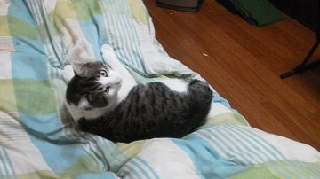 くつろぎ