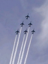 080445cb.jpg