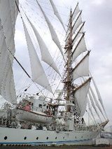 0cc54471.JPG