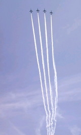 286c13f6.jpg