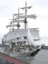 2d705304.JPG
