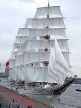 adbc7787.JPG