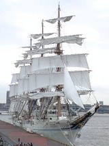 d7a1a43e.JPG