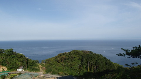 P5031231