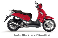 Scarabeo
