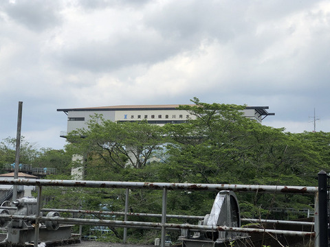 R13959