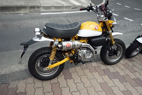 R13528