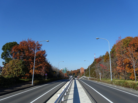 R09204