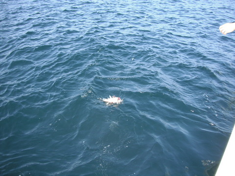 DSCF4361