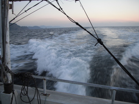 DSCF4350