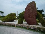 s-P1010155