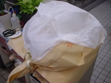 b09ce989.JPG