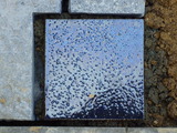 P1000021